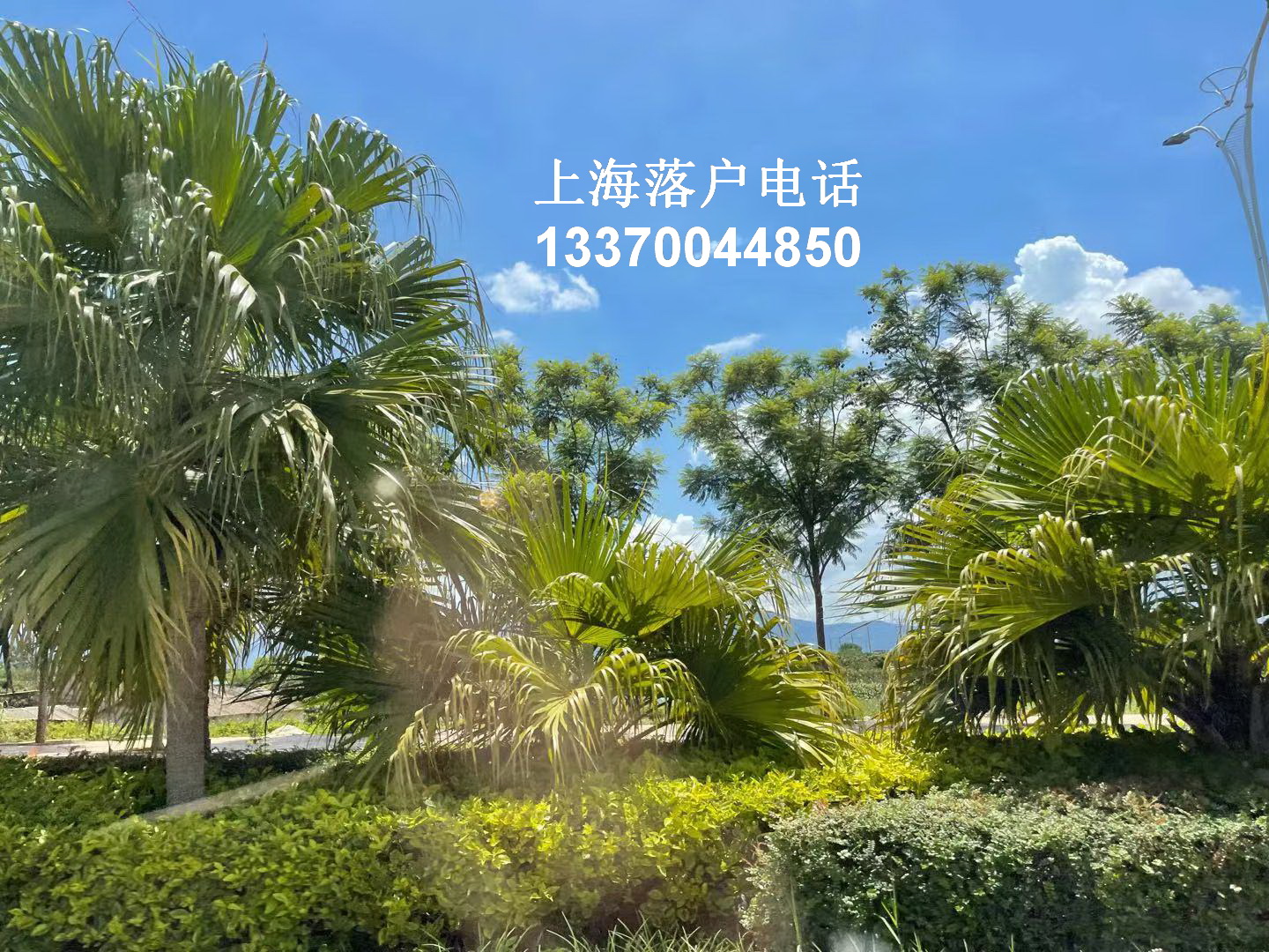 2022/05/31持有《上海市居住证》人员申办本市常住户口公示名单